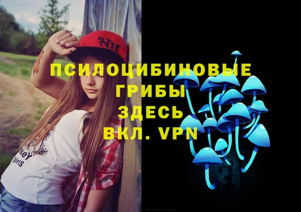 дживик Армянск