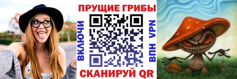 Псилоцибиновые грибы мухоморы  Цивильск 